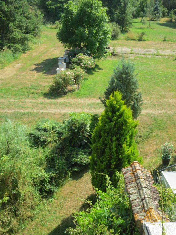 Chambres D'Hotes Du Moulin De La Chaussee Saint-Denis-d'Orques Εξωτερικό φωτογραφία